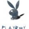 Playboy77