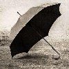 umbrella2.jpg