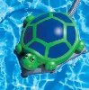 turtle3.jpg