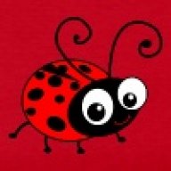 ladybug777